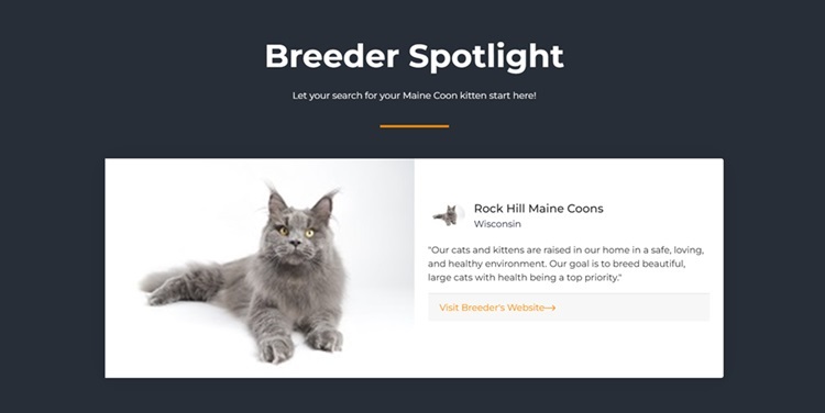 Spotlight listing photo